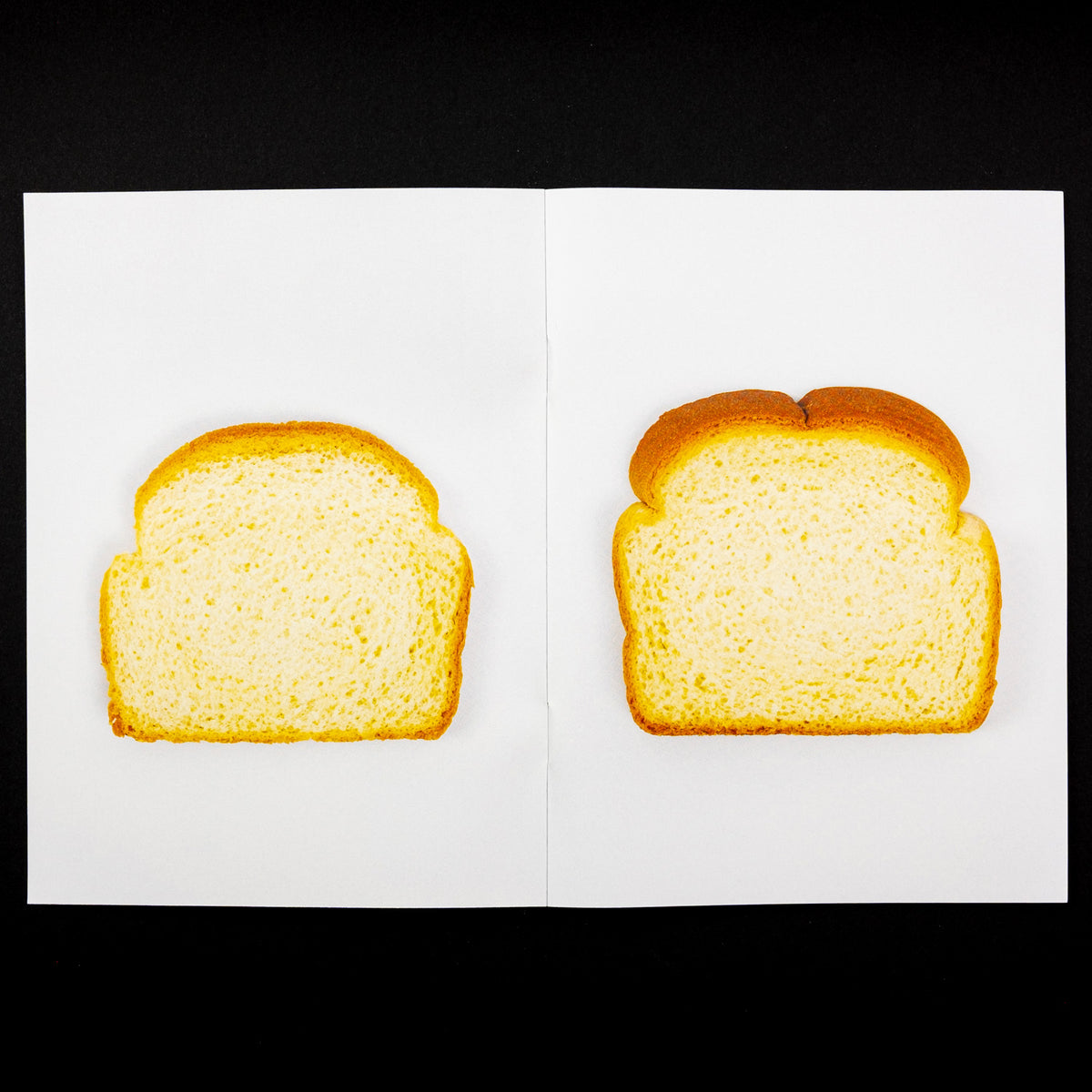 Loaf Zine